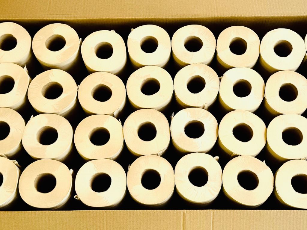 BPlanet Bambus-Toilettenpapier 64 Rollen | Nachhaltiges Bambus-Klopapier | Ungebleicht